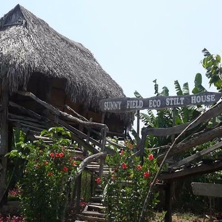 הוילה קאט טיין Sunny Field Eco Stilt House מראה חיצוני תמונה