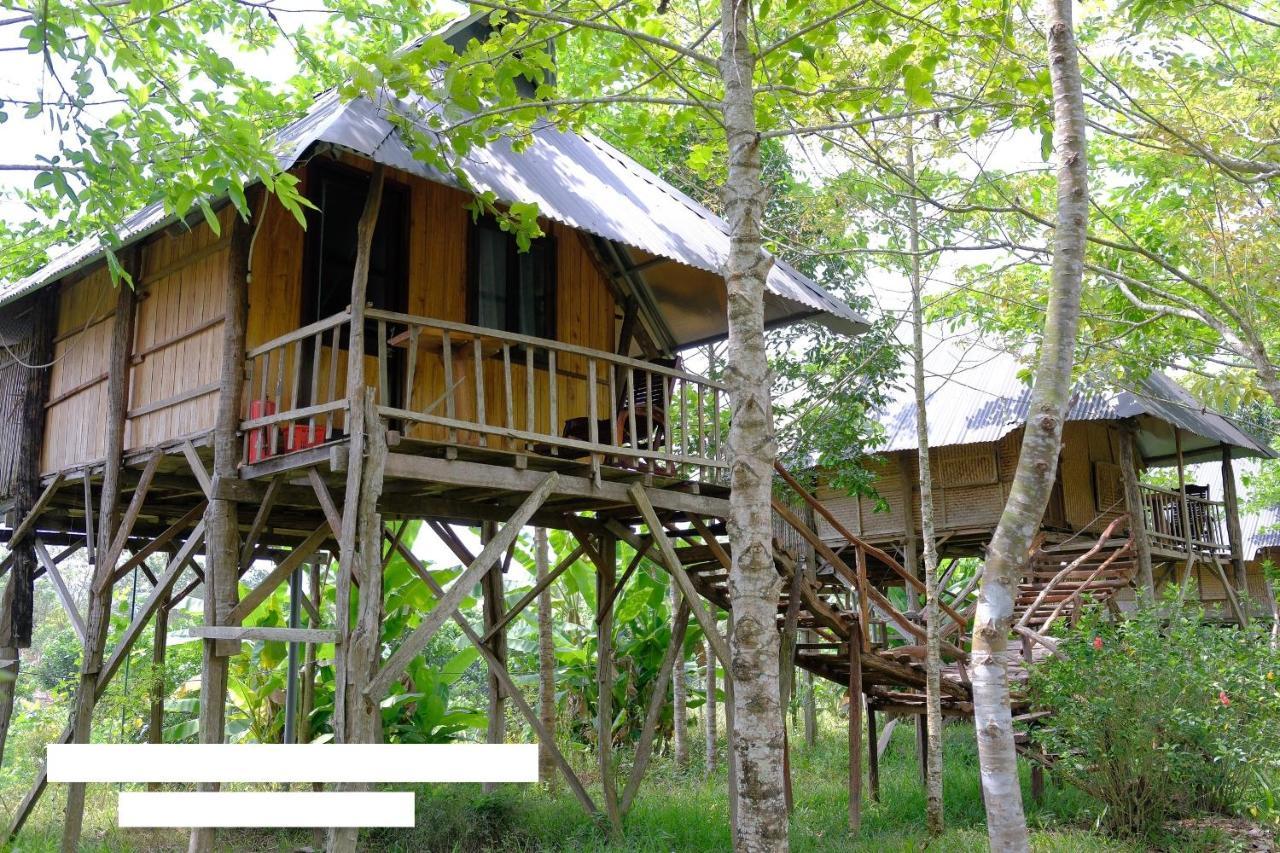 הוילה קאט טיין Sunny Field Eco Stilt House מראה חיצוני תמונה