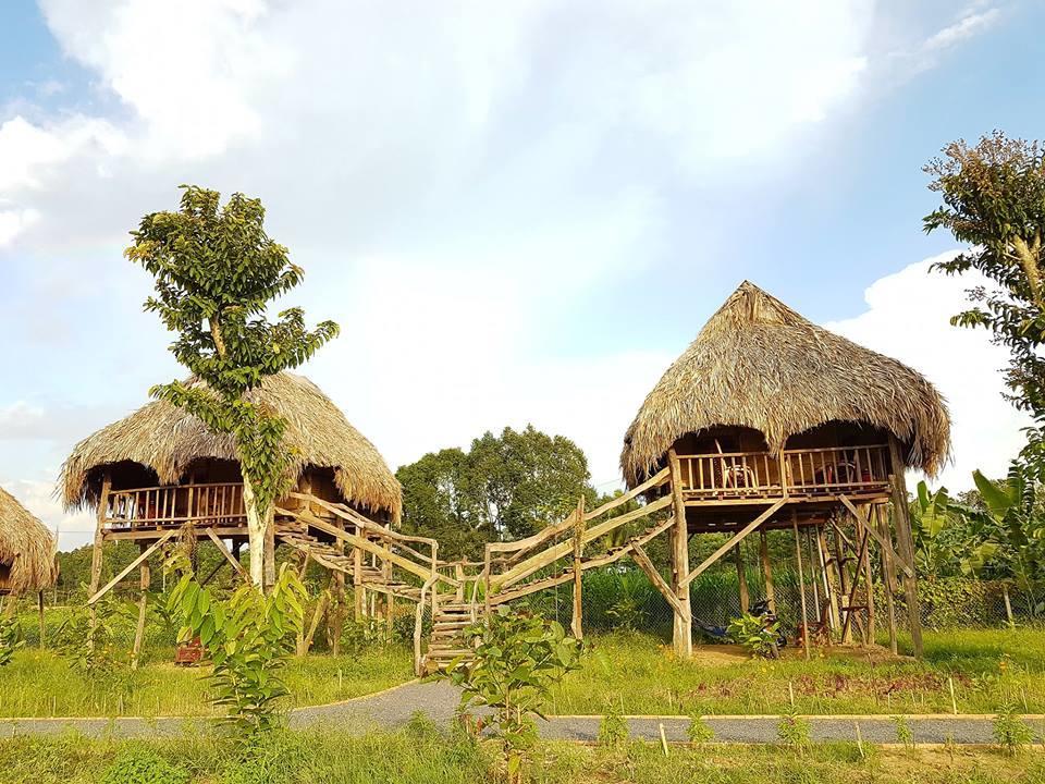 הוילה קאט טיין Sunny Field Eco Stilt House מראה חיצוני תמונה