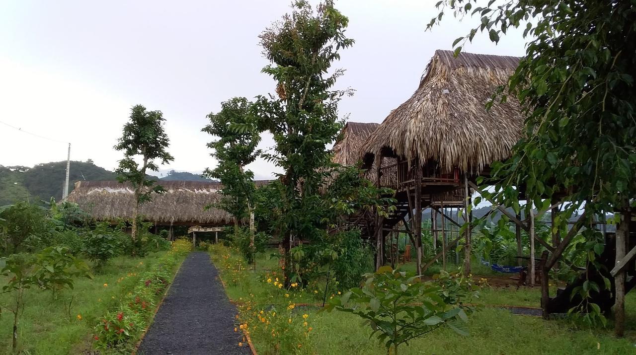 הוילה קאט טיין Sunny Field Eco Stilt House מראה חיצוני תמונה