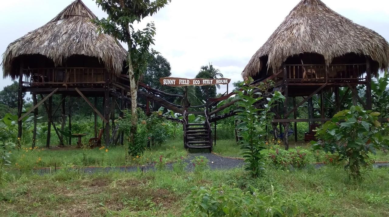 הוילה קאט טיין Sunny Field Eco Stilt House מראה חיצוני תמונה