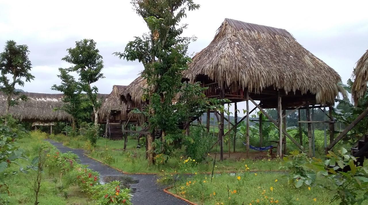 הוילה קאט טיין Sunny Field Eco Stilt House מראה חיצוני תמונה