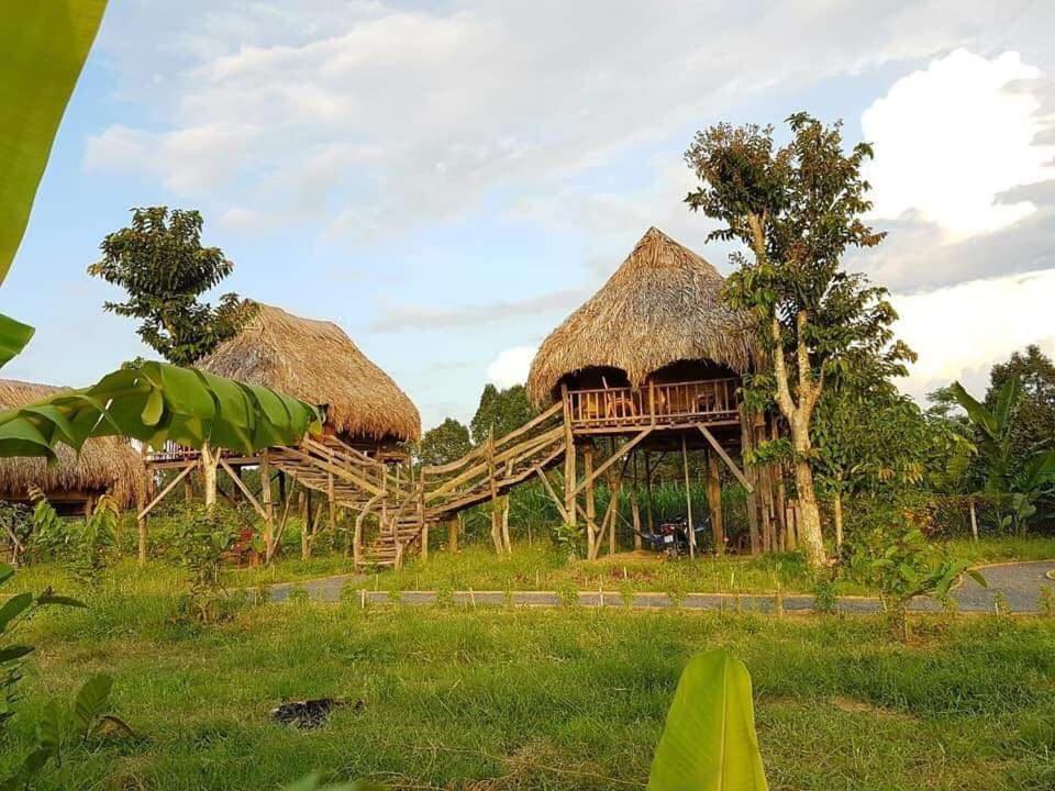 הוילה קאט טיין Sunny Field Eco Stilt House מראה חיצוני תמונה