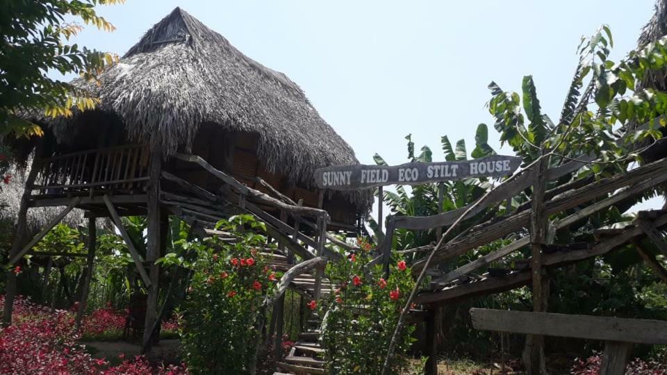 הוילה קאט טיין Sunny Field Eco Stilt House מראה חיצוני תמונה
