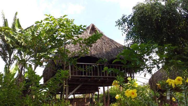 הוילה קאט טיין Sunny Field Eco Stilt House מראה חיצוני תמונה